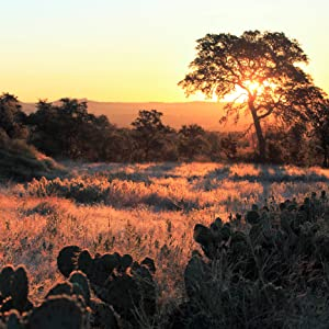 Texas, photography, hill country, landscape